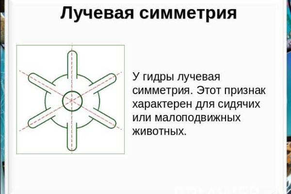 Кракен маркет плей