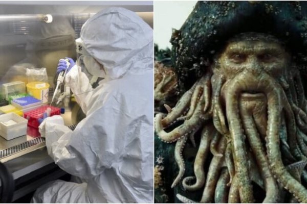 Кракен сайт kraken2