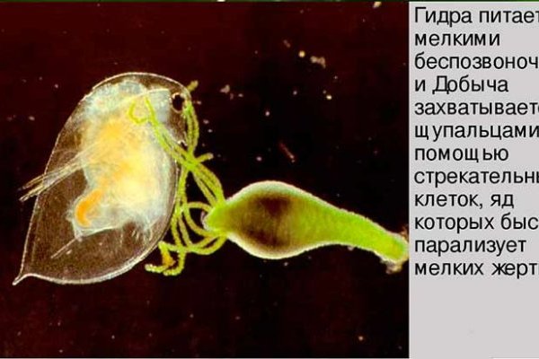 Кракен драг
