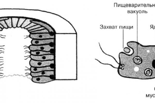Кракен маркет зеркало