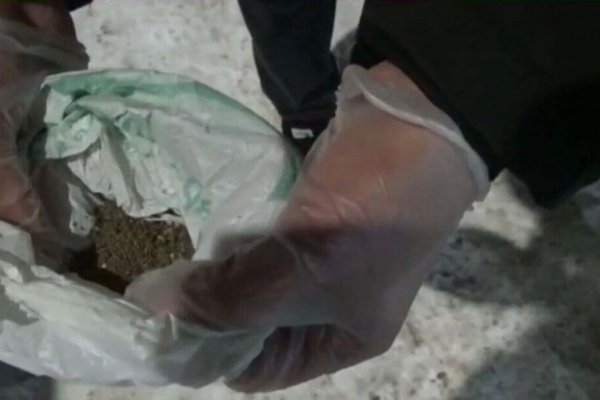 Найти ссылку на кракен