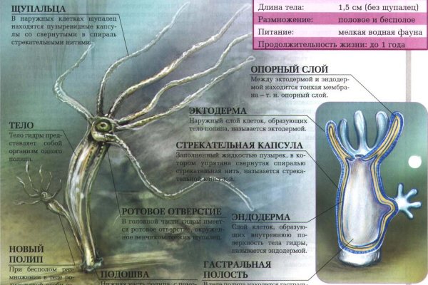 Что такое кракен сайт