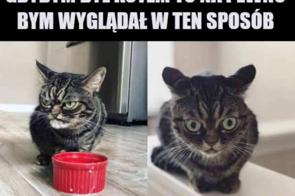 Кракен торговая площадка
