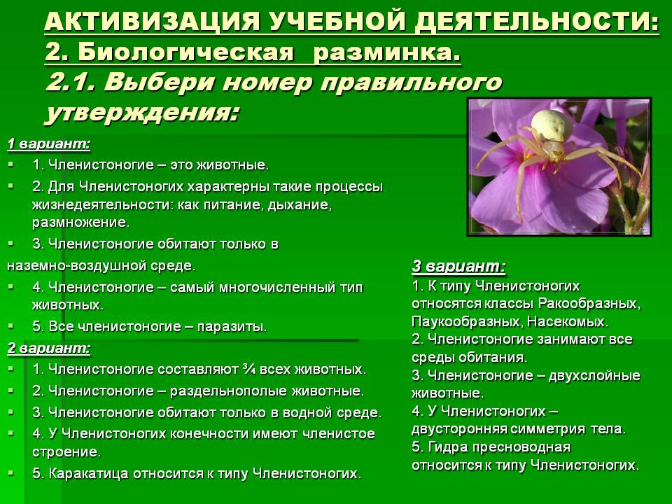 Кракен сайт это